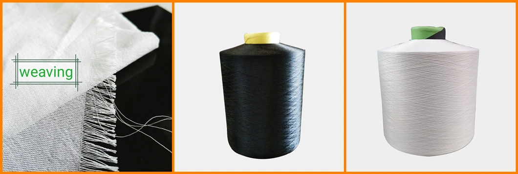 70d Aatcc Standard Antibacterial and Anti-Acarien Functional Nylon 6 Yarn for Socks and Elastic Fabric Antibacterial Fabric